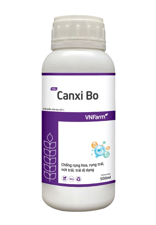 Canxi Bo